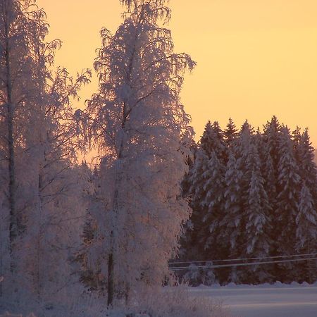 Villa Tiirinkallio Nilsiä 객실 사진