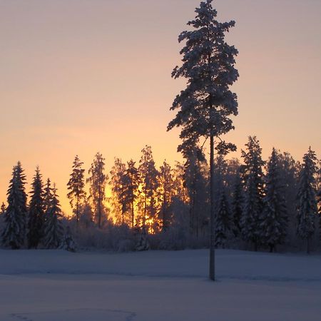 Villa Tiirinkallio Nilsiä 객실 사진