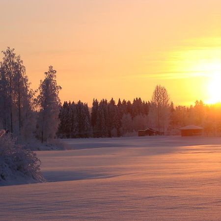 Villa Tiirinkallio Nilsiä 외부 사진
