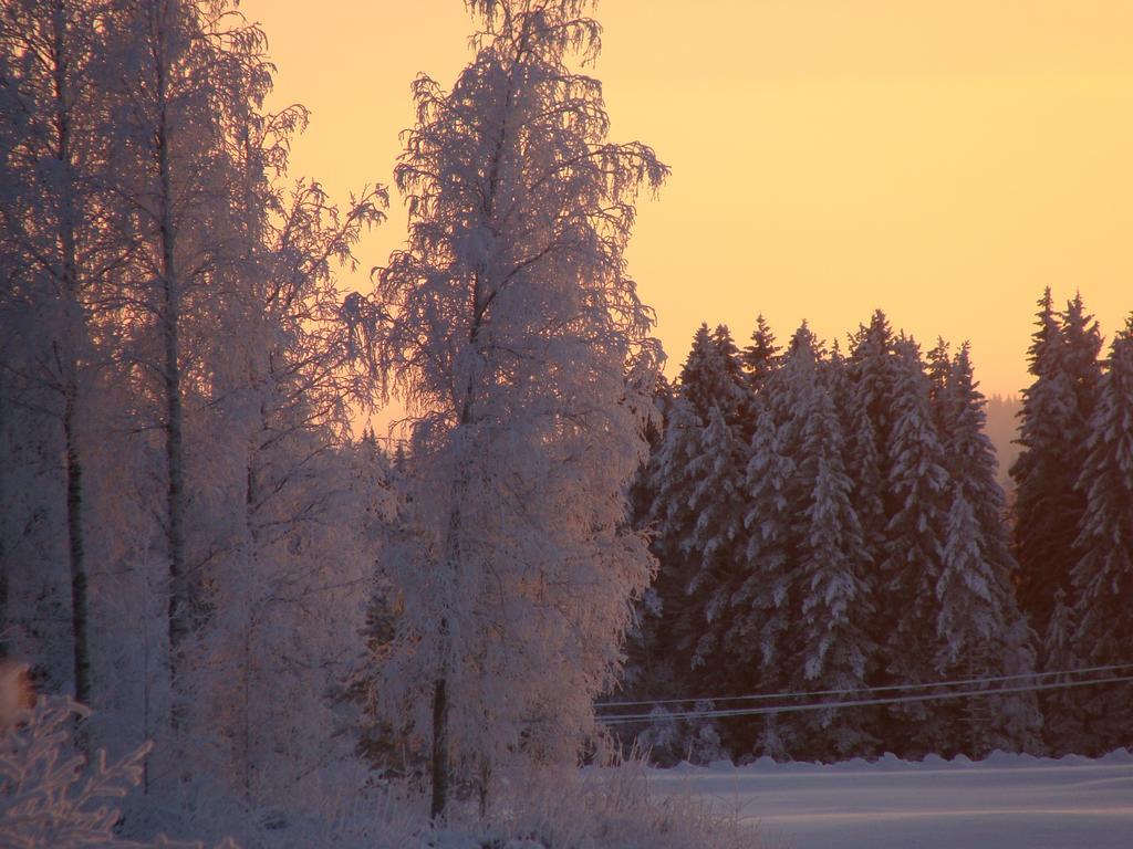 Villa Tiirinkallio Nilsiä 객실 사진