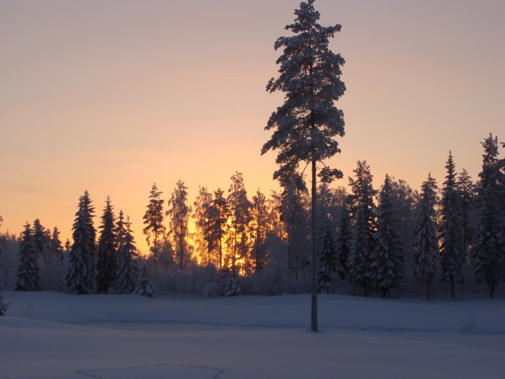 Villa Tiirinkallio Nilsiä 객실 사진