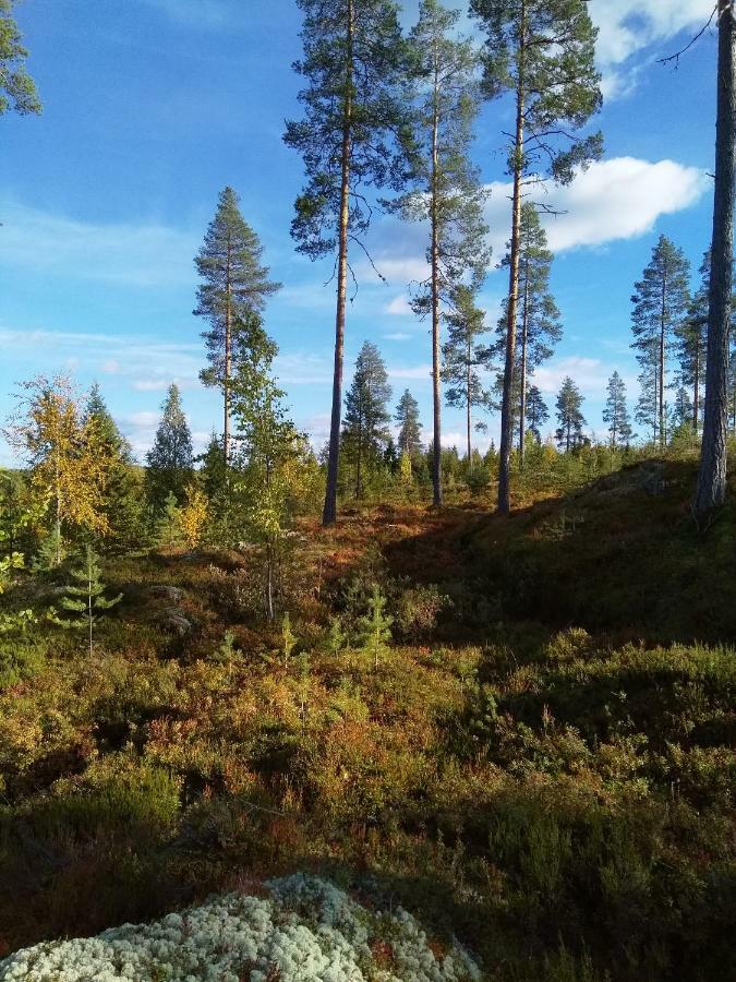 Villa Tiirinkallio Nilsiä 외부 사진