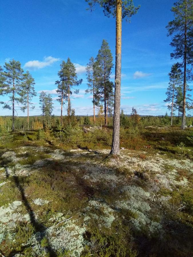 Villa Tiirinkallio Nilsiä 외부 사진