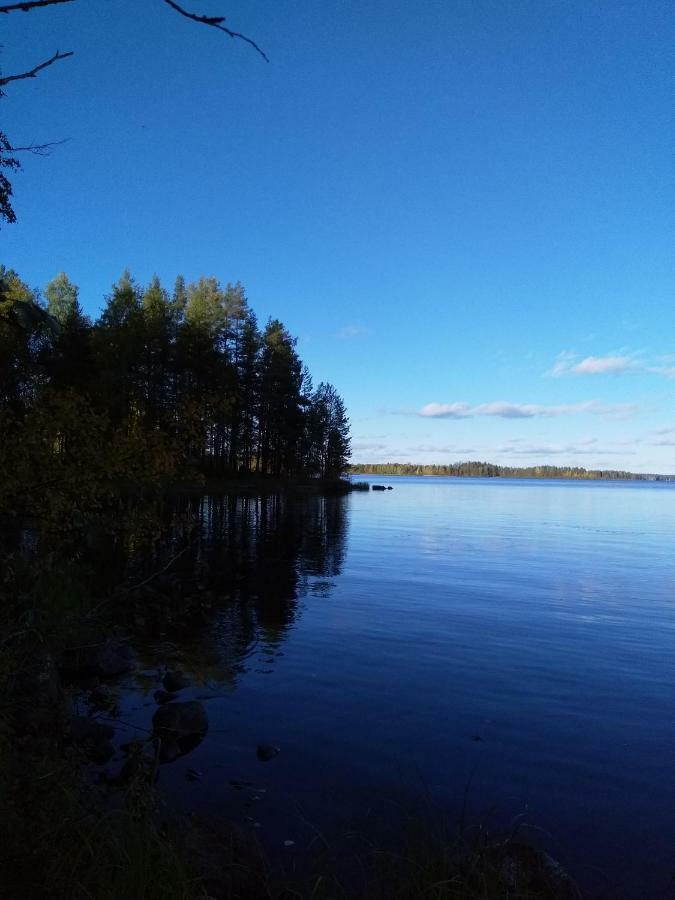 Villa Tiirinkallio Nilsiä 외부 사진
