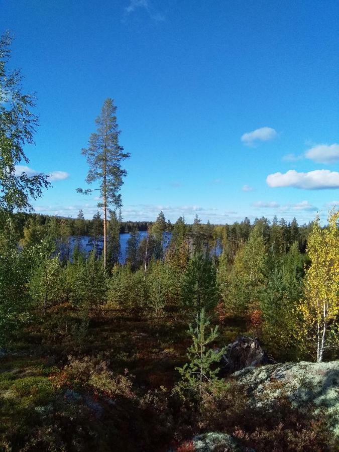Villa Tiirinkallio Nilsiä 외부 사진