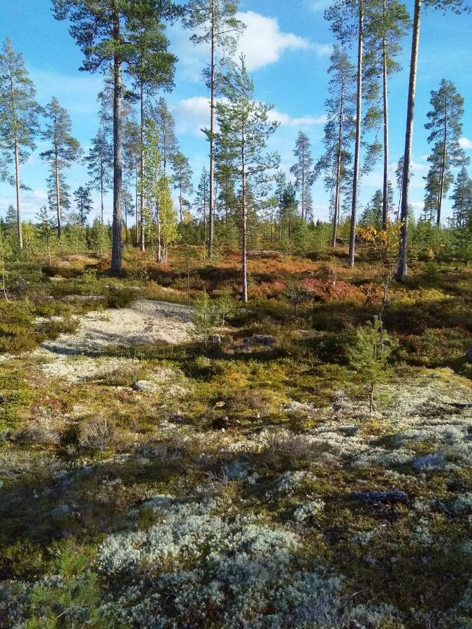 Villa Tiirinkallio Nilsiä 외부 사진