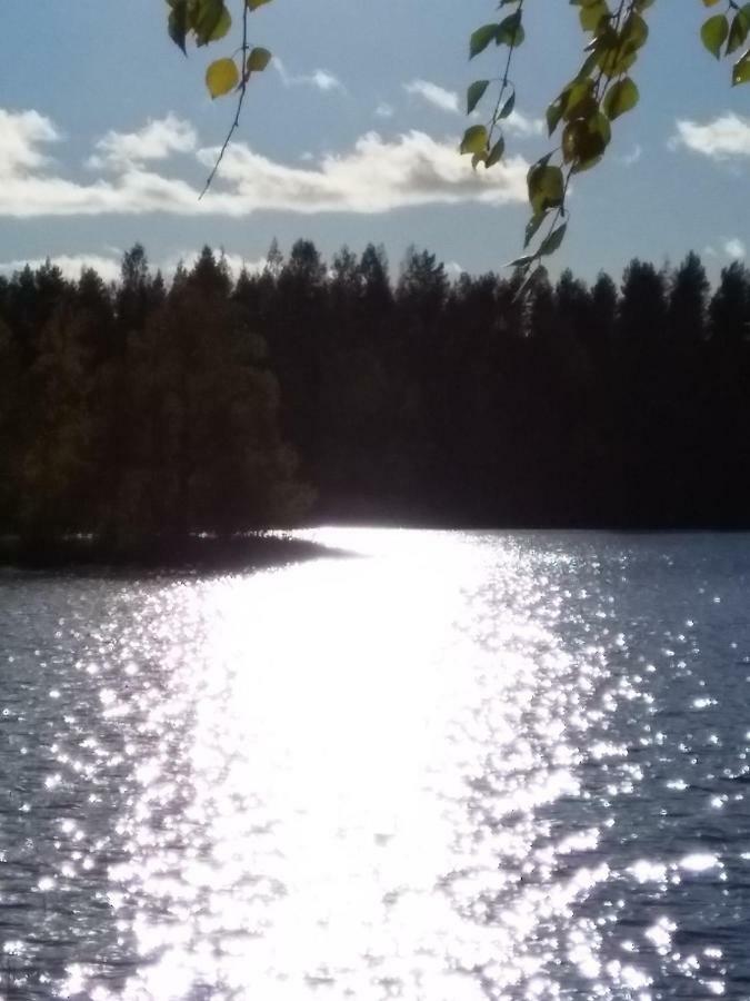 Villa Tiirinkallio Nilsiä 외부 사진