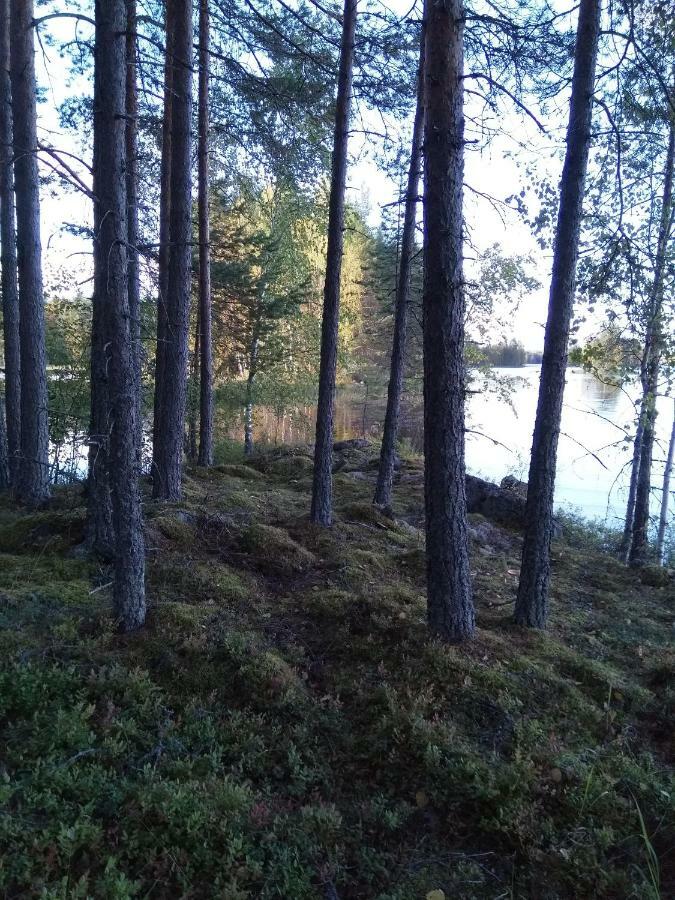 Villa Tiirinkallio Nilsiä 외부 사진